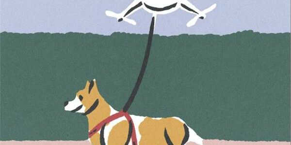 L’age de la maintenance Usbeck