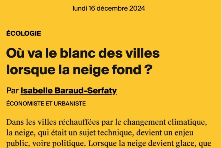 Où va le blanc des villes lorsque la neige fond ?