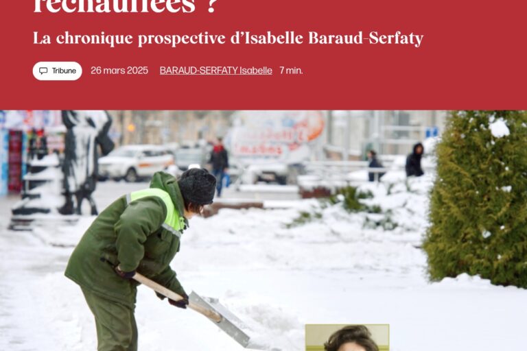 Déneigement, ombre : quels services locaux dans les villes réchauffées ?