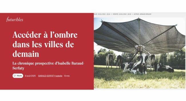 ombre-vache-et-futuribles