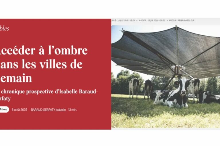 ombre-vache-et-futuribles