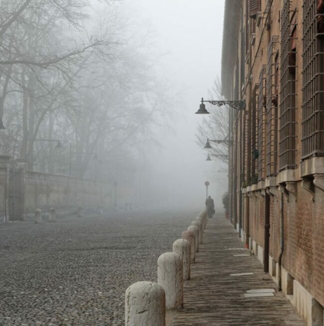 trottoirs-walk-with-bassani