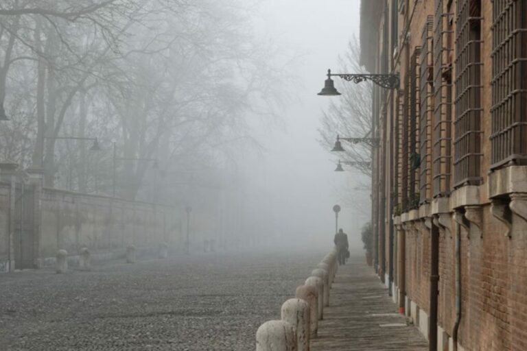 trottoirs-walk-with-bassani