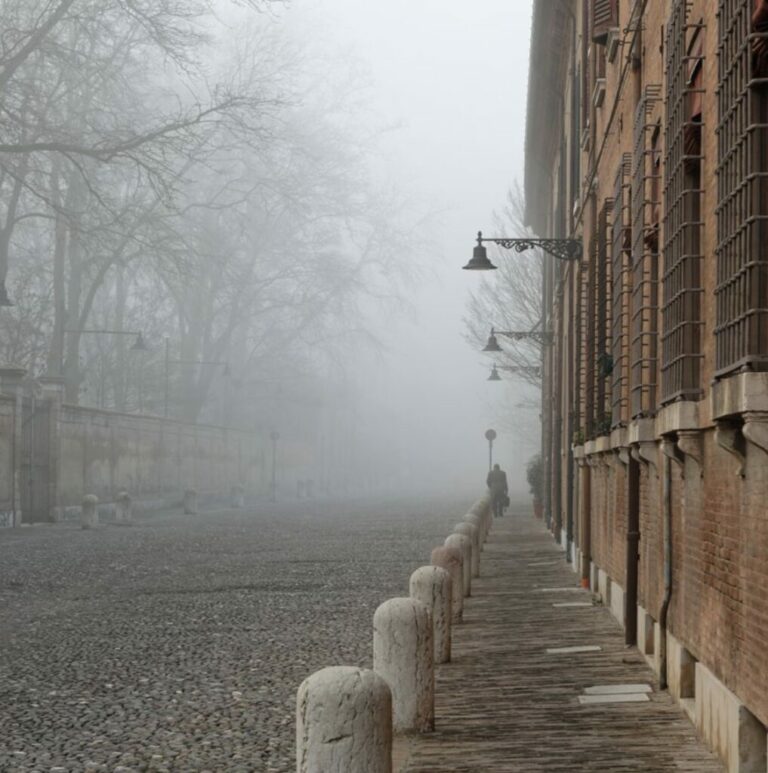 trottoirs-walk-with-bassani